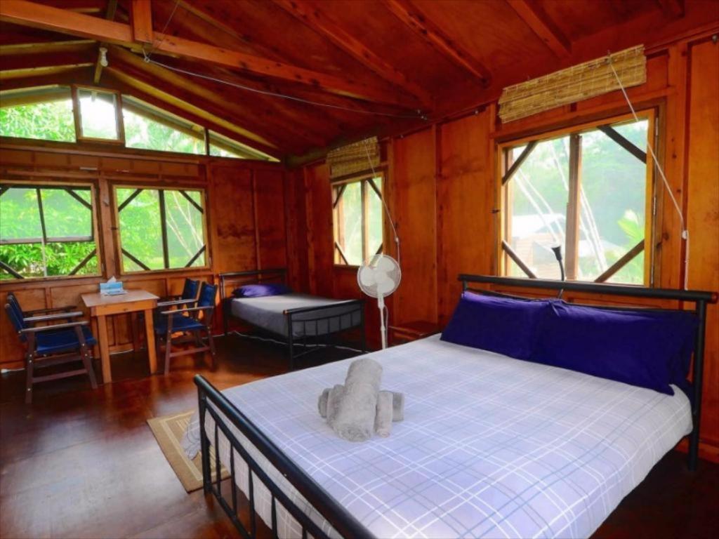 Вилла Daintree Rainforest Bungalows Cow Bay Экстерьер фото