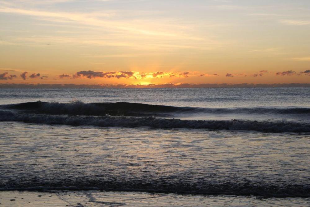 Вилла Daintree Rainforest Bungalows Cow Bay Экстерьер фото