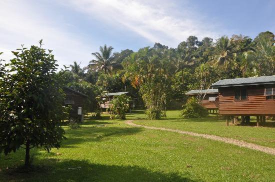 Вилла Daintree Rainforest Bungalows Cow Bay Экстерьер фото