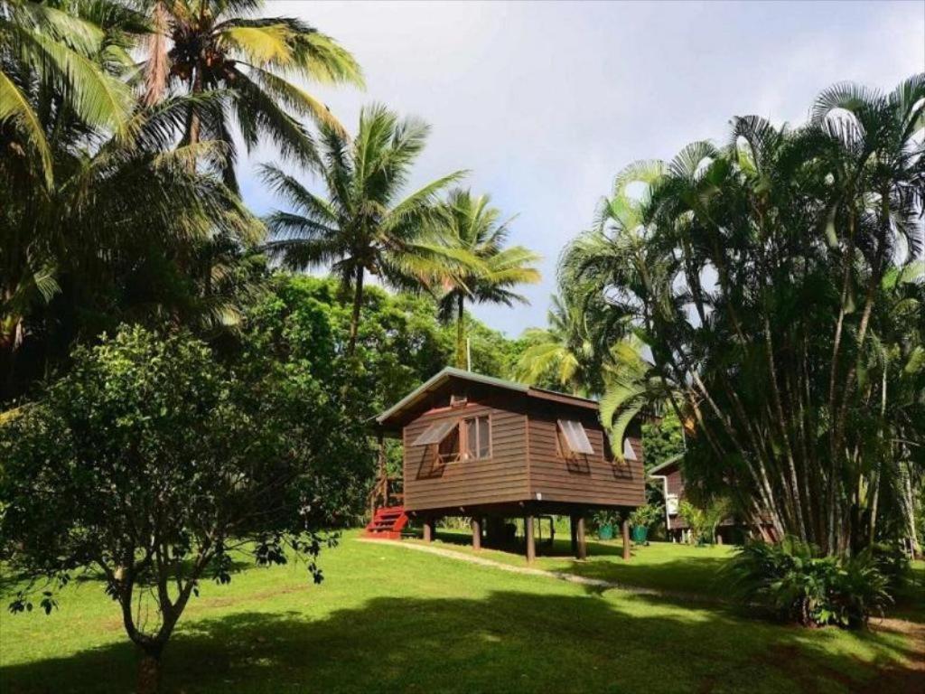 Вилла Daintree Rainforest Bungalows Cow Bay Экстерьер фото