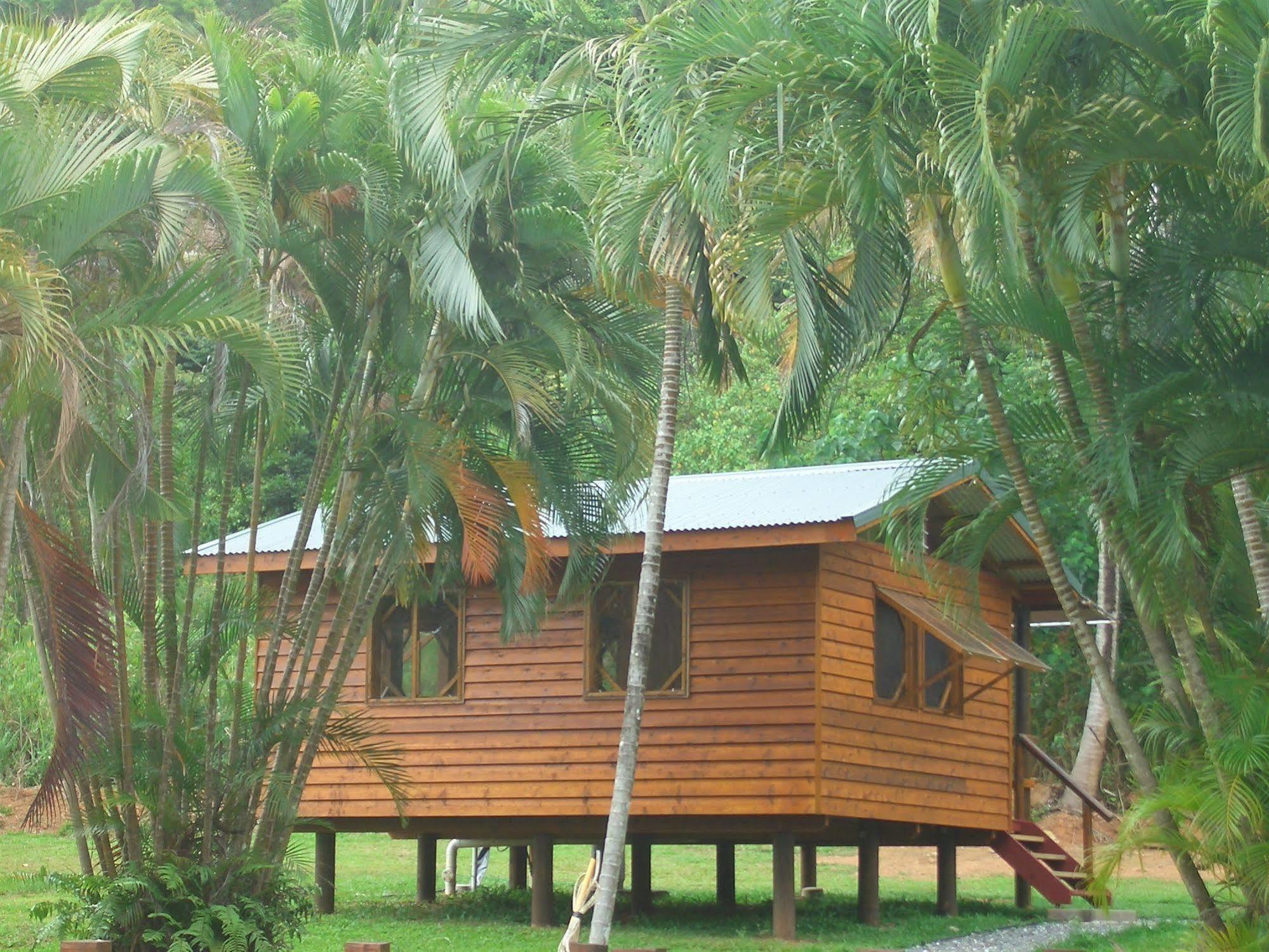 Вилла Daintree Rainforest Bungalows Cow Bay Экстерьер фото