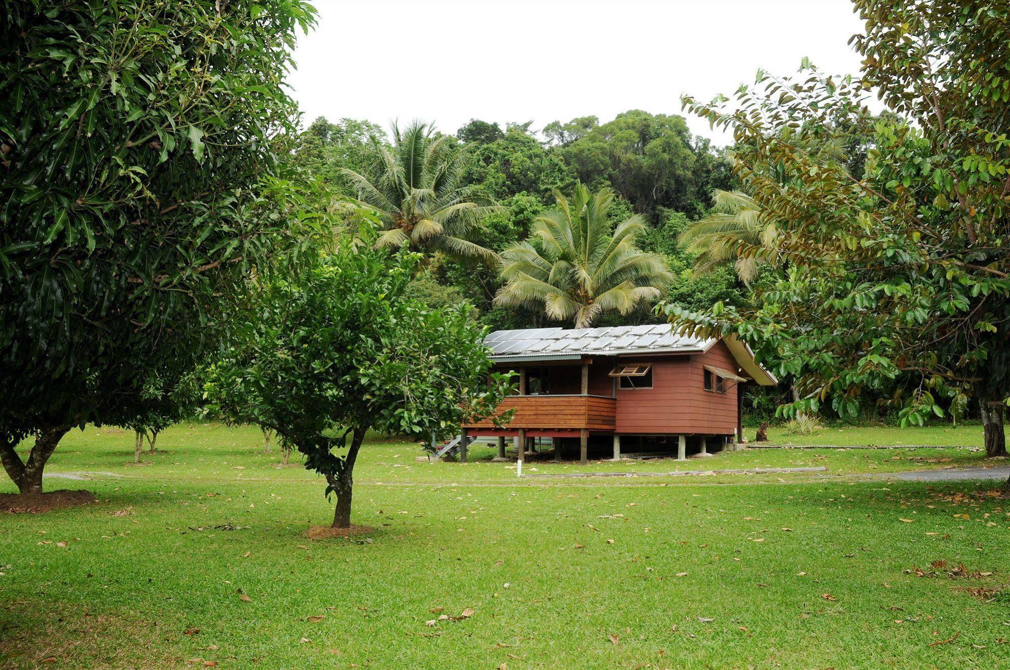 Вилла Daintree Rainforest Bungalows Cow Bay Экстерьер фото